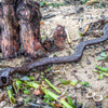 Life-Sized Snake Sculpture