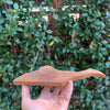 Plecostomus Wood Art