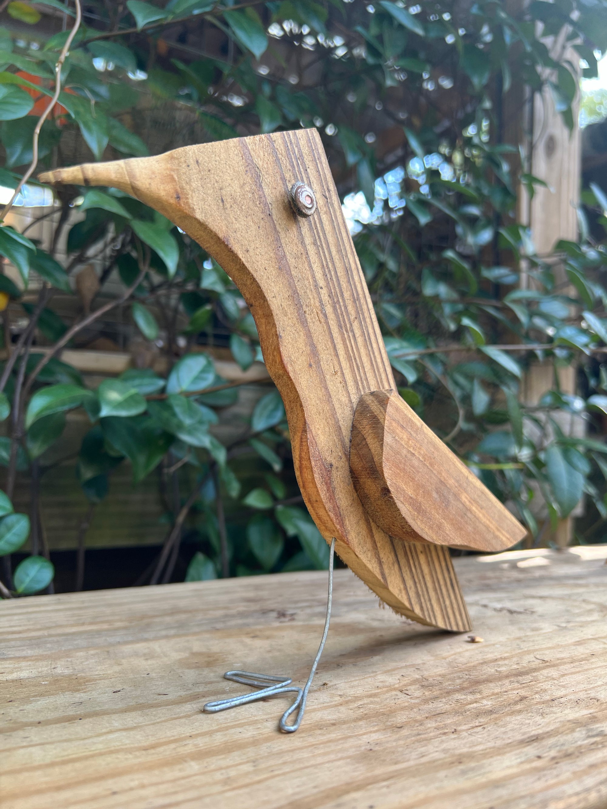 Parrot Wood Art