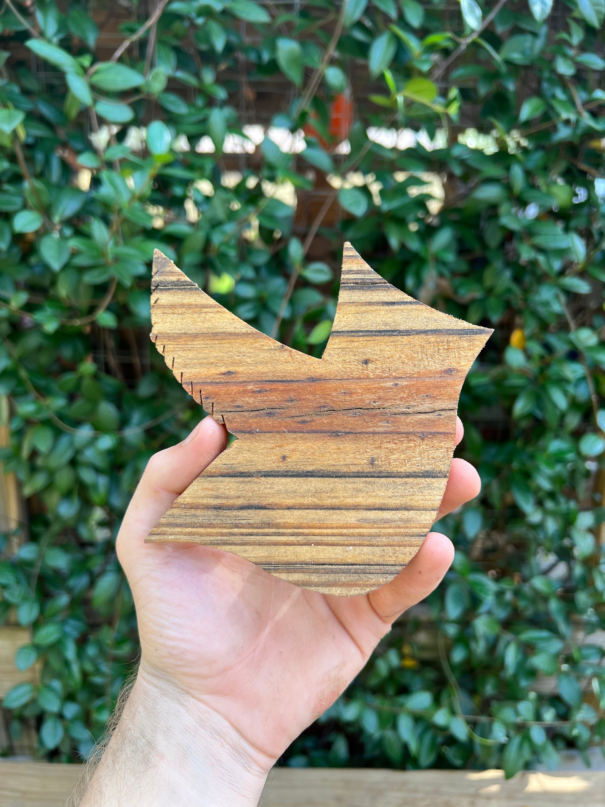 Wood Coasters - Bird