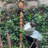 A Hand-Carved Wooden Dragonfly