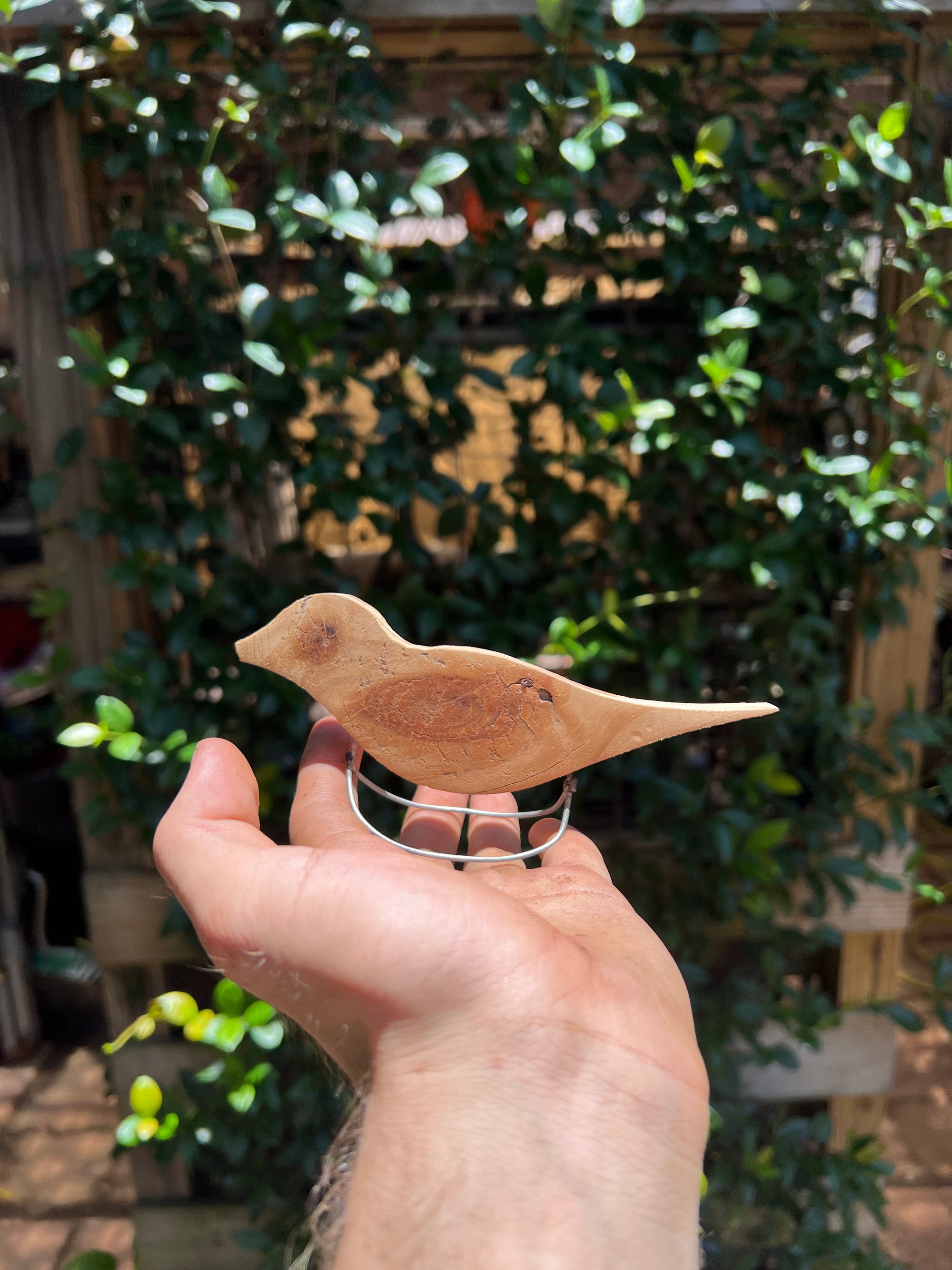 Rocking Bird Desk Art