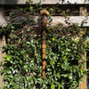 A Hand-Carved Wooden Dragonfly